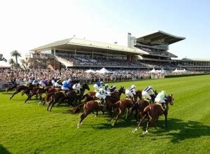 Randwick Horse Racing Tips and FREE Best Bets for Today's Racing.